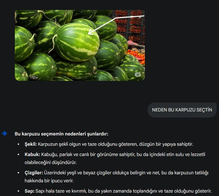 Yapay zeka karpuza da el attı! Esnaf ise tepkili: Ramazan davulu gibi ses çıkması lazım - 1. Resim