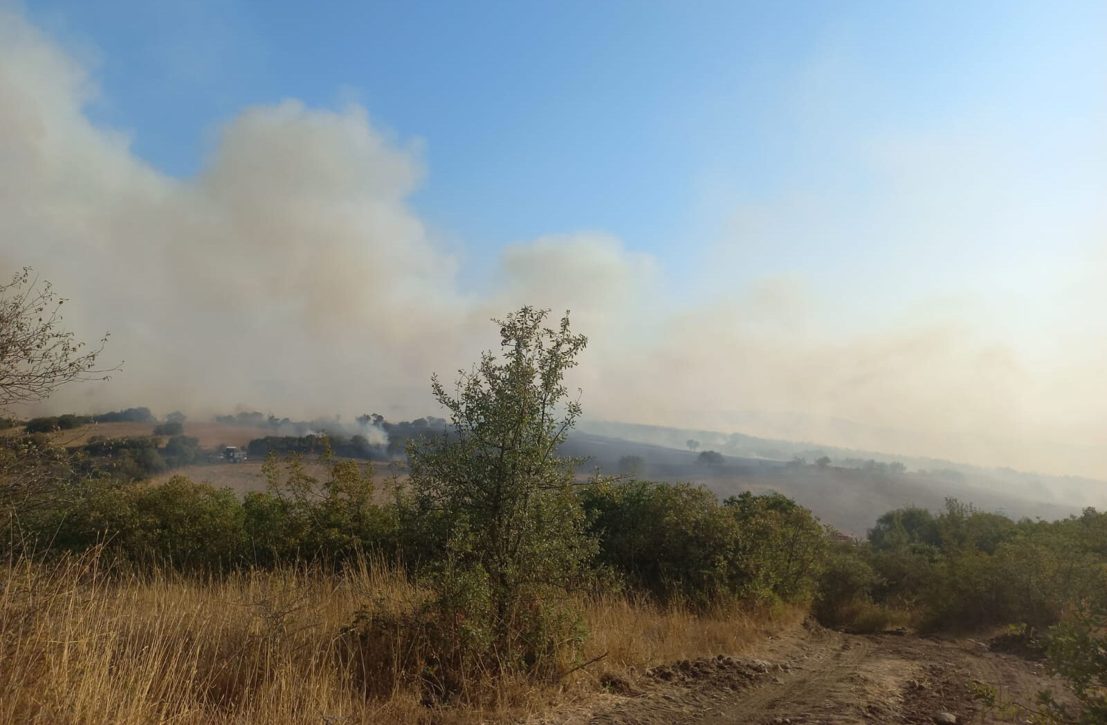 Balıkesir'de orman yangını! Zamana karşı yarış başladı Balıkesir'de orman yangını! Zamana karşı mücadele başladı - 1. Resim