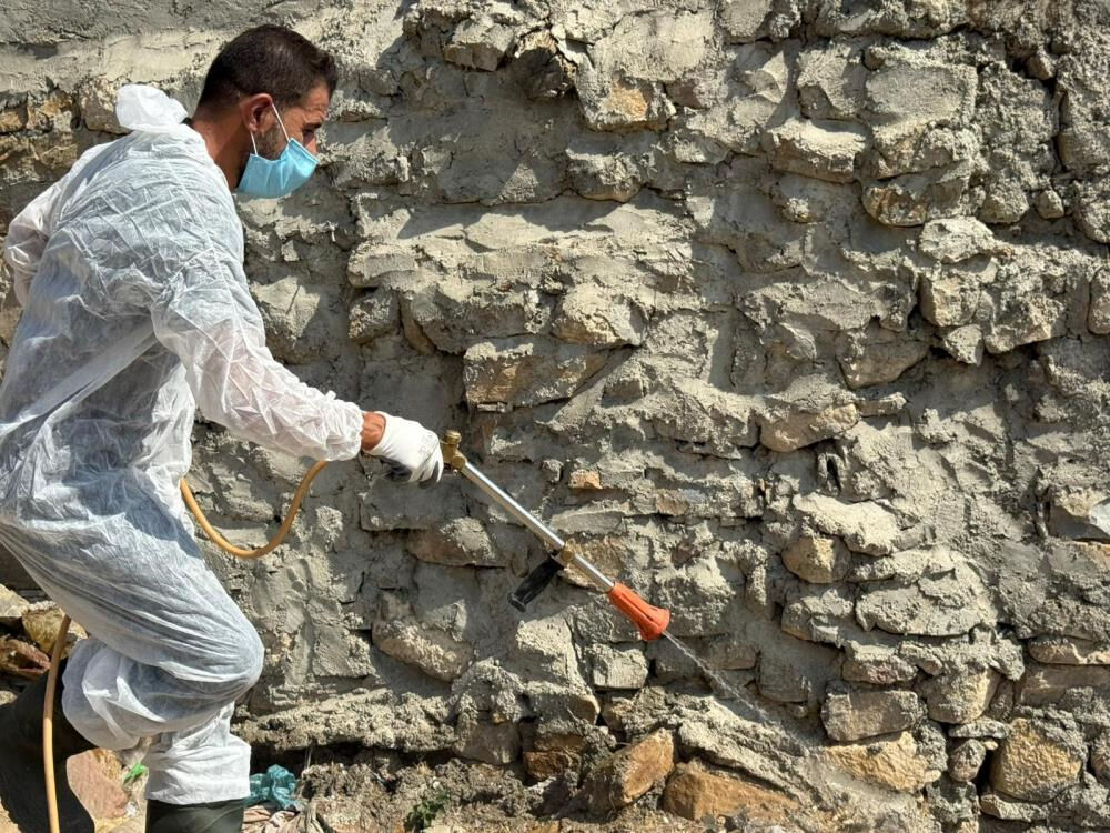 Batman'da köyde akrep alarm verildi: Gece ortaya çıkıyorlar! - 1. Resim