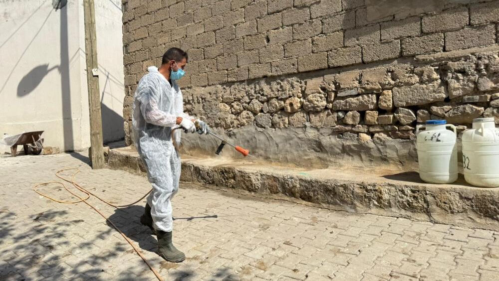 Batman'da köyde akrep alarm verildi: Gece ortaya çıkıyorlar! - 2. Resim