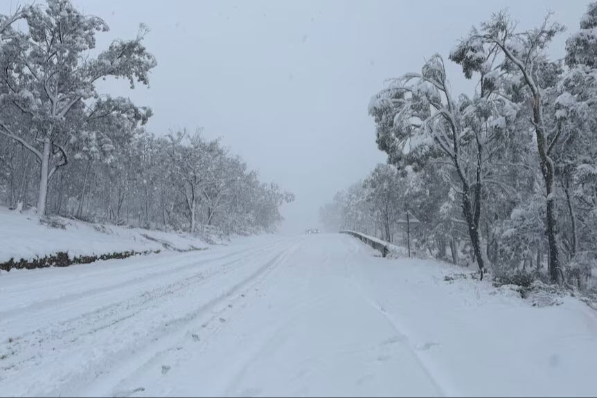 Biz yazı yaşarken onlar kışı yaşıyor! 1980'lerden bu yana böyle kar yağışı görülmedi - 3. Resim