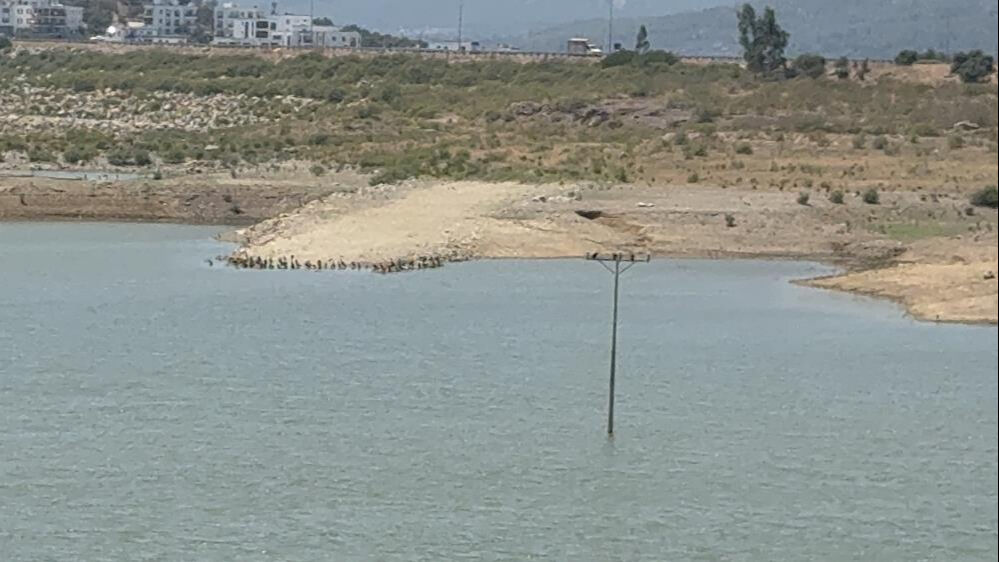 Vatandaşlar isyanda! Tatilcilerin gözdesi Bodrum'da su alarmı... Çareyi böyle buldular Tatilcilerin gözdesi Bodrum'da alarm: Barajlar kritik seviyede! Vatandaşlar tankerle su taşıyor - 2. Resim