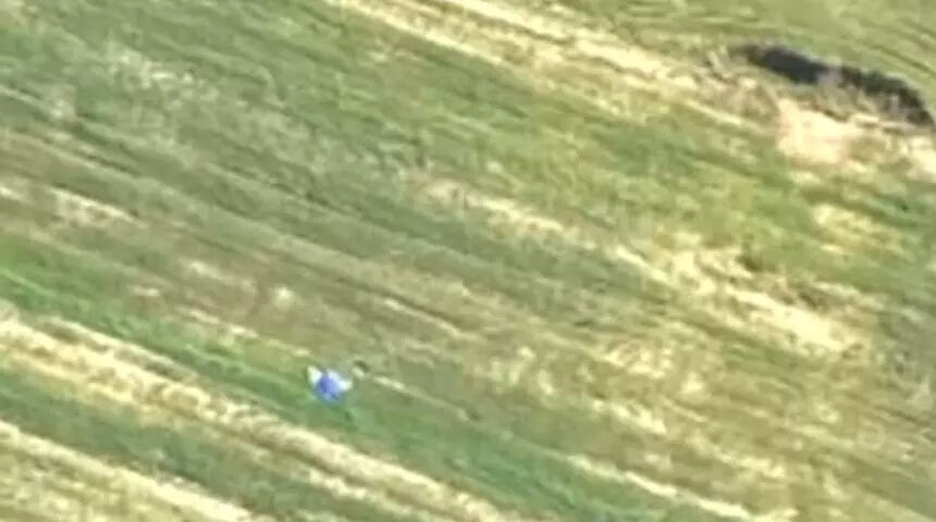 44 yaşındaki CEO'nun feci ölümü! Gökyüzünde arkadaşına çarptı 44 yaşındaki CEO'nun feci ölümü! Gökyüzünde arkadaşına çarptı - 1. Resim