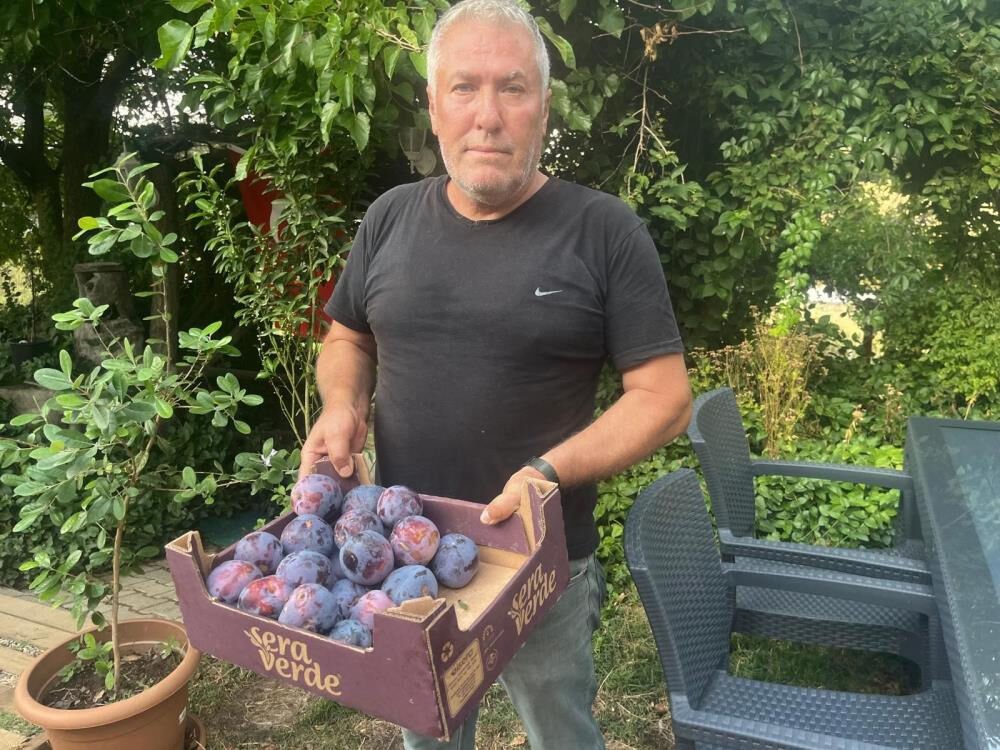 5 tanesi 1 kilo! Toptan almak için farklı şehirlerden gelen var 5 tanesi 1 kilo! Toptan almak için farklı şehirlerden gelen var - 2. Resim