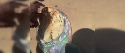 İnsanlıktan utandıran görüntüler! Gazze'ye gönderilen yardım paketlerinden küflü ekmek çıktı İnsanlıktan utandıran görüntüler! Gazze'ye gönderilen yardım paketlerinden küflü ekmek çıktı - 2. Resim