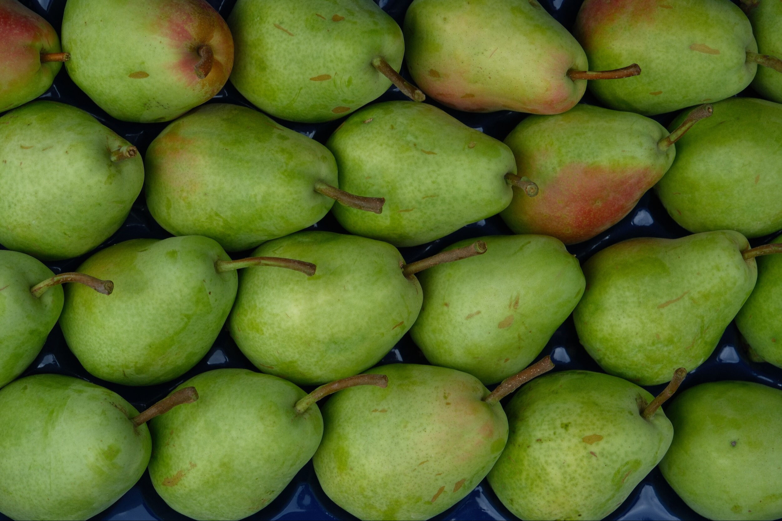 İtalya vazgeçti, Türkiye zirveye taşıdı! Avrupa artık onu Bursa'dan yiyor - 3. Resim