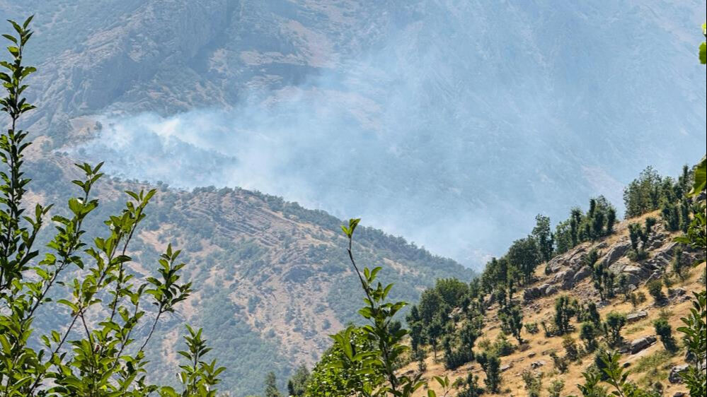Şırnak'ta orman yangını! Alevler kontrolden çıktı - 1. Resim