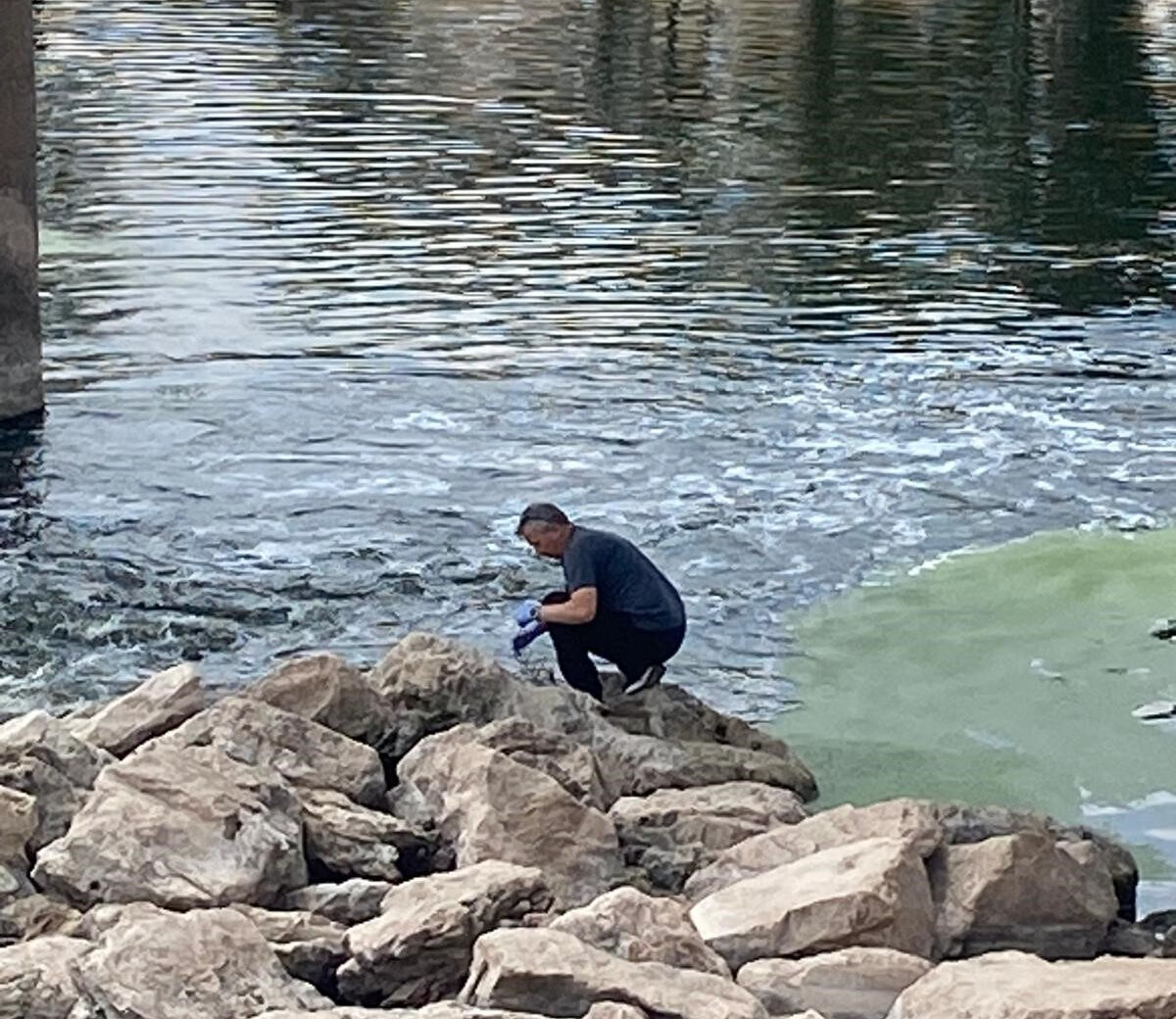 Sivas'taki görüntüler korkutmuştu! Balık ölümlerinin nedeni ortaya çıktı - 1. Resim