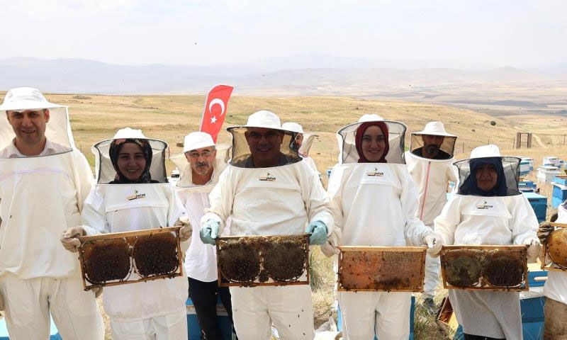 Altın hasat başladı! Hedef 240 ton… Kadın üreticiler köşeyi dönecek Altın hasat başladı! Hedef 240 ton… Kadın üreticiler köşeyi dönecek - 3. Resim