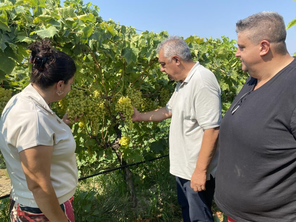 Babasının vasiyetiydi! 40 yaşından sonra bu işe girdiler... İnsan sağlığına zararı yok Babasının vasiyetiydi! 40 yaşından sonra bu işe girdiler... İnsan sağlığına zararı yok - 2. Resim
