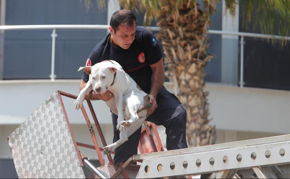 Balkonda dakikalarca kurtarılmayı beklediler! Korku dolu anlar... - 2. Resim