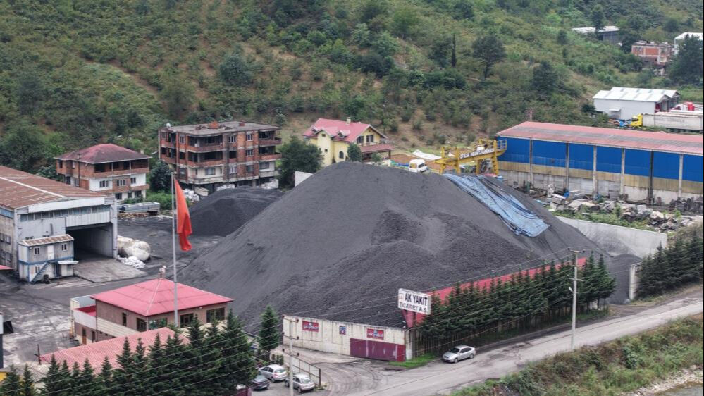 Dava açan kaybediyor, vatandaş "Rusya'dan mı geldi? diye" isyan ediyor! Her evde görülüyor, sil sil bitmiyor... - 3. Resim