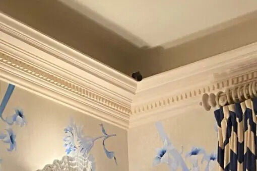 Epstein'ın 7 katlı malikanesinden öyle şeyler çıktı ki... Sır perdesi aralandı, karanlık geçmişi gözler önünde Epstein'ın 7 katlı malikanesinden öyle şeyler çıktı ki... Sır perdesi aralandı, karanlık geçmişi gözler önünde - 6. Resim