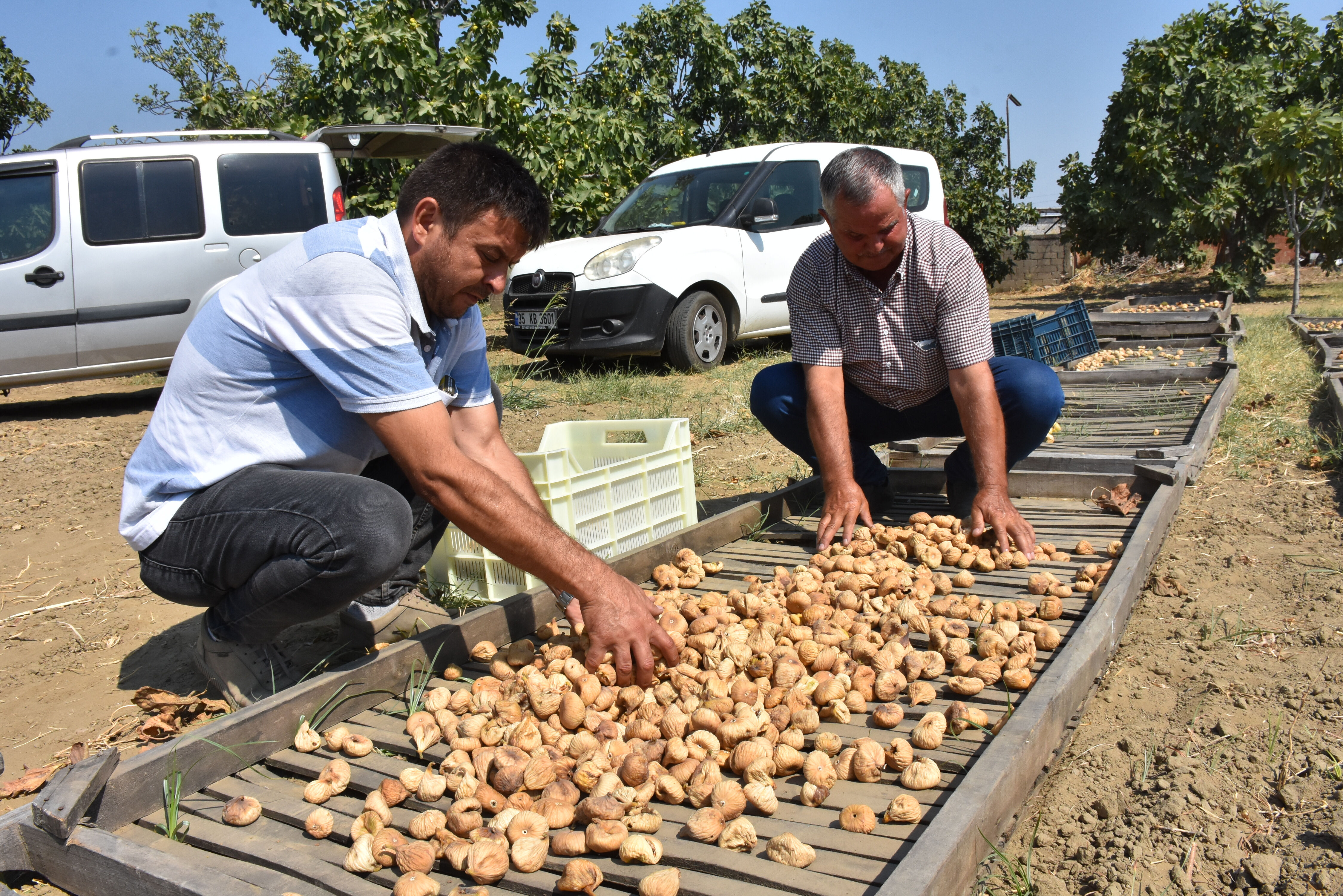 Sezonun ilk ürünü! Kilosu 400 liradan satıldı - 2. Resim