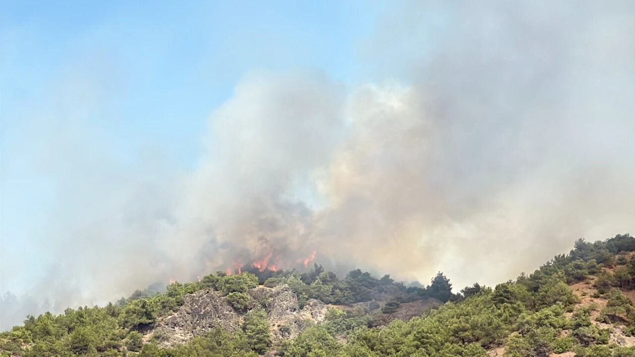 Tokat yangın son dakika: Tokat orman yangını neden çıktı? Tokat yangın son dakika: Tokat orman yangını neden çıktı? - 1. Resim