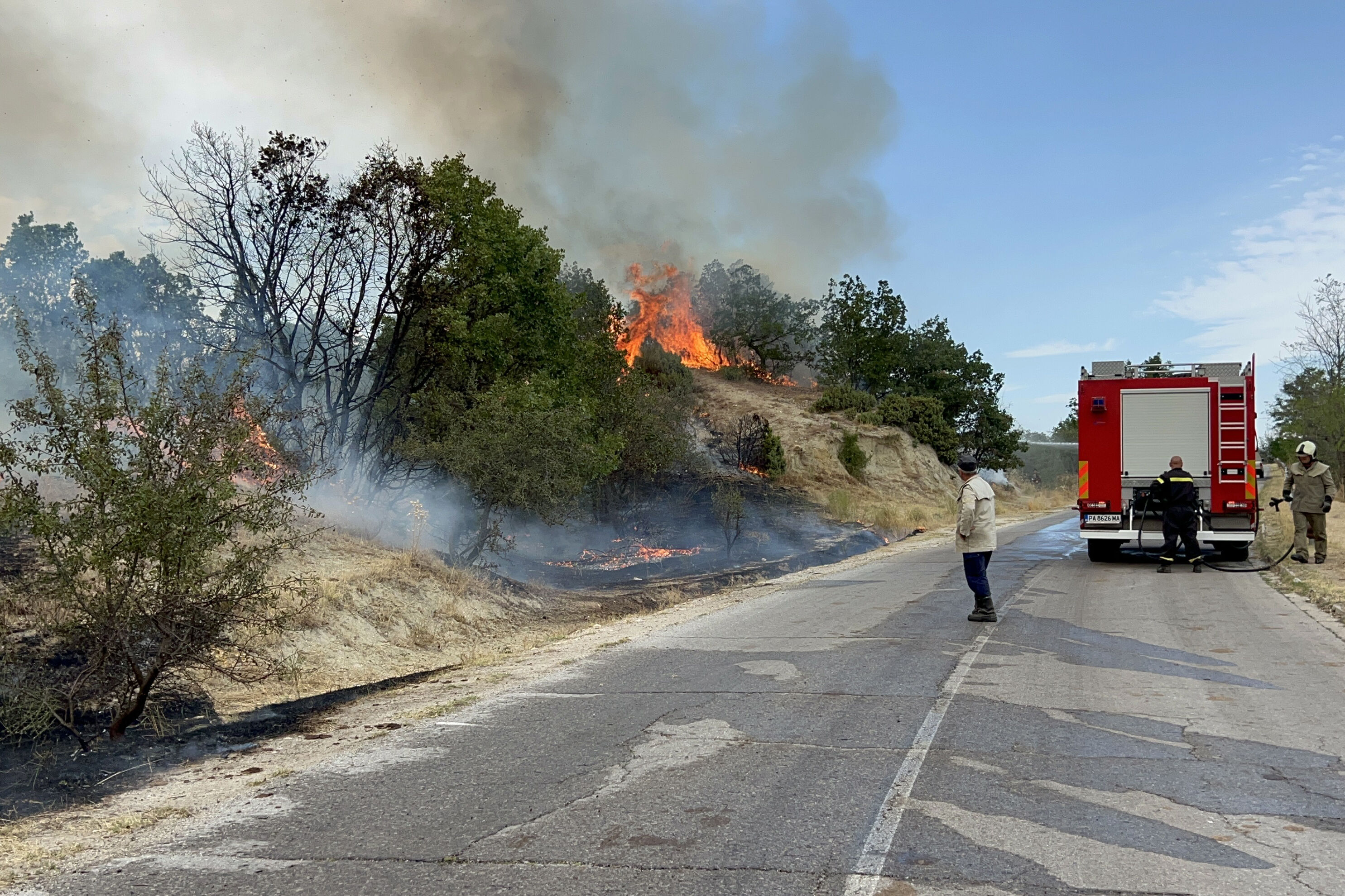 Alevler 30 bin dönüme yayıldı! 4 bölgede 'kısmi afet durumu' ilan edildi Alevler 30 bin dönüme yayıldı! 4 bölgede 'kısmi afet durumu' ilan edildi - 1. Resim