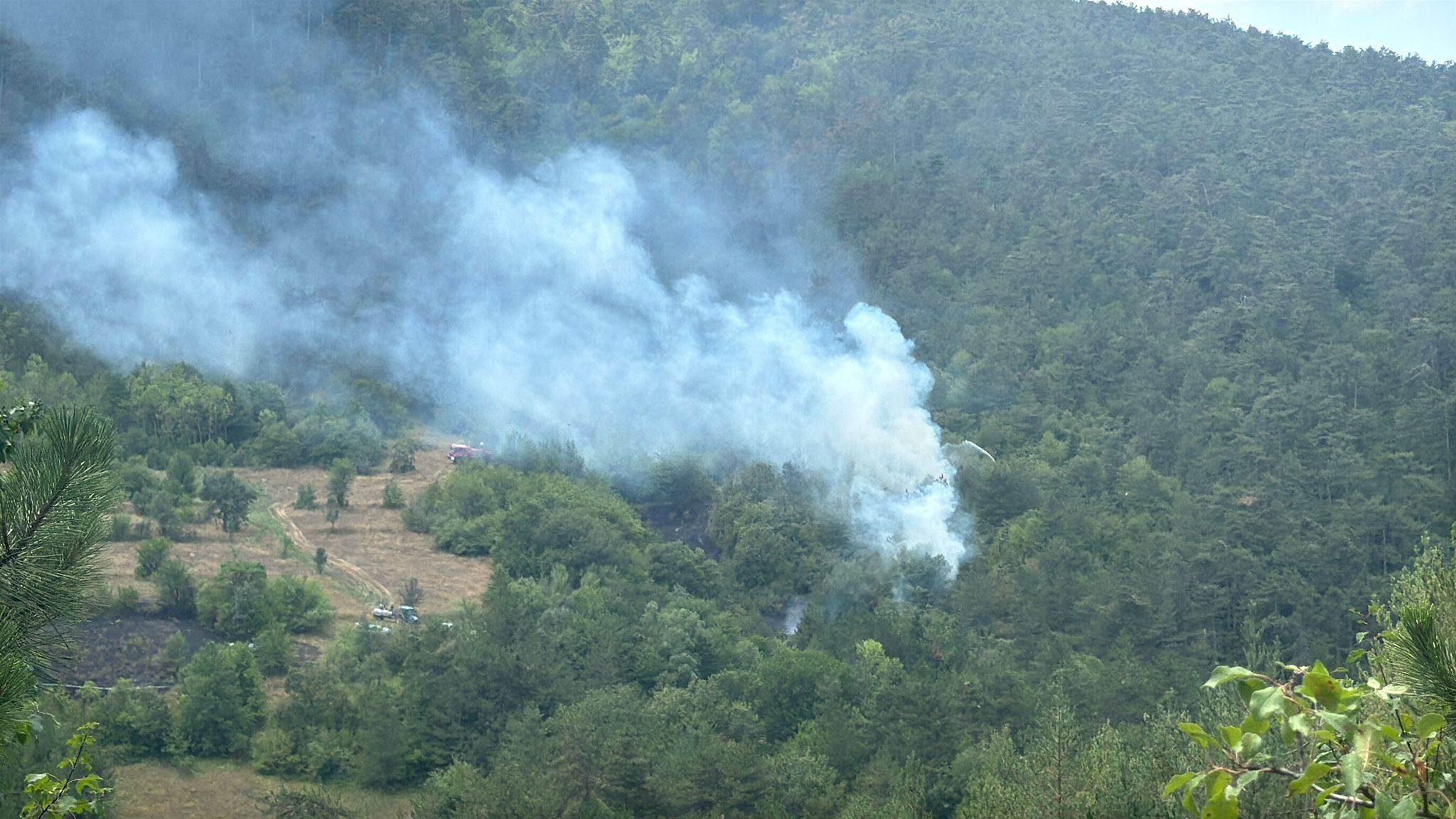 Bolu'da ormanlık alanda yangın! Alevler kontrol altında Bolu'da ormanlık alanda yangın! Ekipler bölgede - 1. Resim