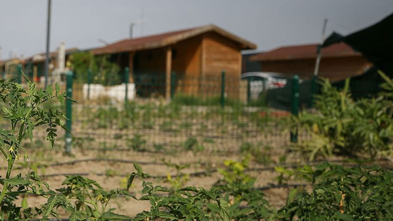 Deprem sonrası satışlar patladı! Dar gelirliler onu tercih ediyor Deprem sonrası satışlar patladı! Dar gelirliler onu tercih ediyor - 2. Resim