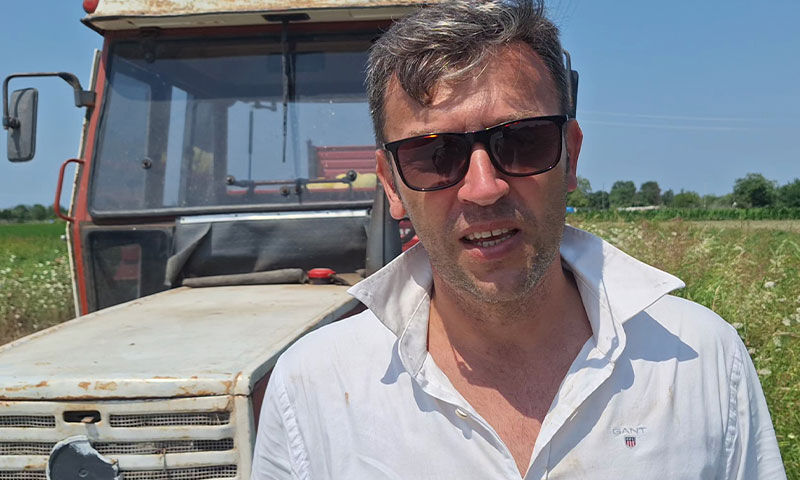 Fiyatıyla da tadıyla da zirvede! Kilosu 12 lira… Satışından memnun kaldı, tekrar tekrar ekti Fiyatıyla da tadıyla da zirvede! Kilosu 12 lira… Satışından memnun kaldı, tekrar tekrar ekti - 4. Resim