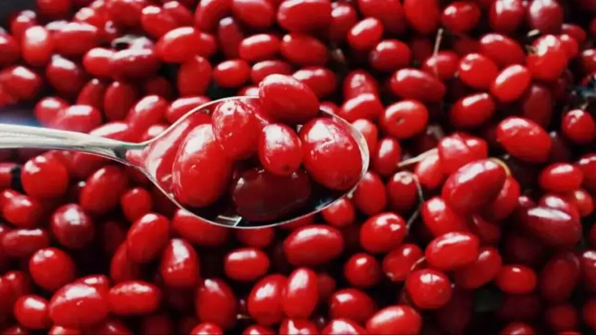 Kalp, beyin, sindirim, kolesterol, enfeksiyon... Hasat başladı, her derde deva Kalp, beyin, sindirim, kolesterol, enfeksiyon... Hasat başladı, her derde deva - 3. Resim