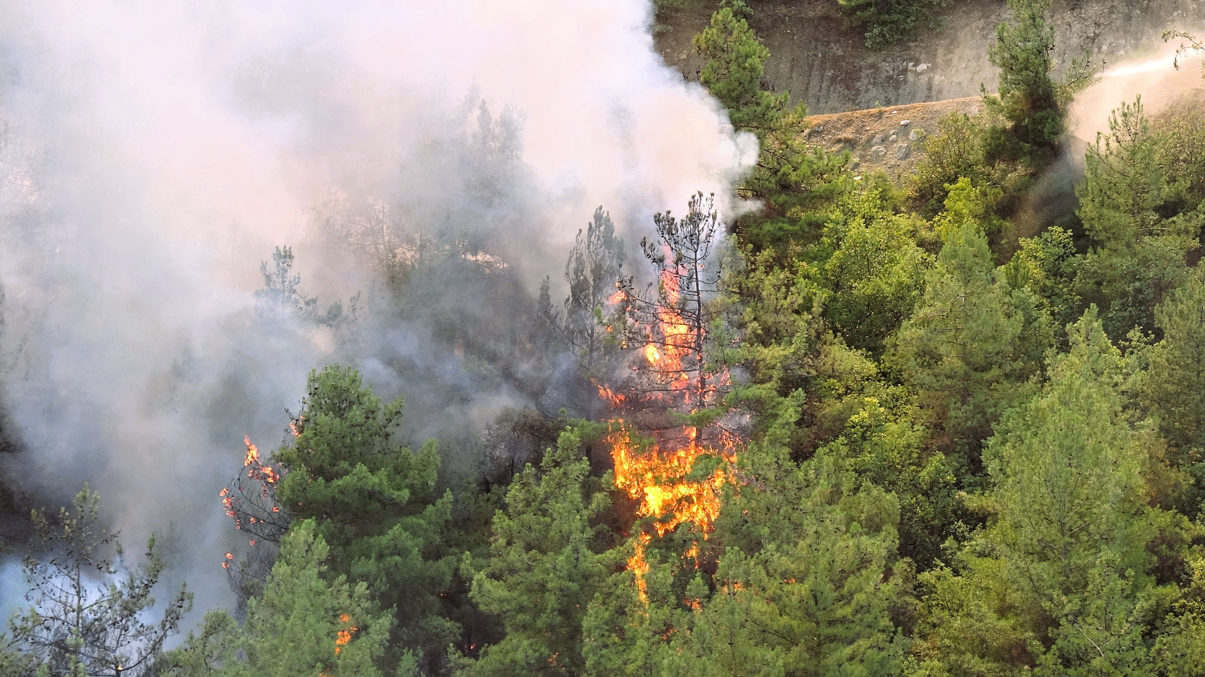 Karabük'te orman yangını! Alevler kent merkezine yaklaşıyor Karabük'te orman yangını! Alevler kent merkezine yaklaşıyor - 1. Resim