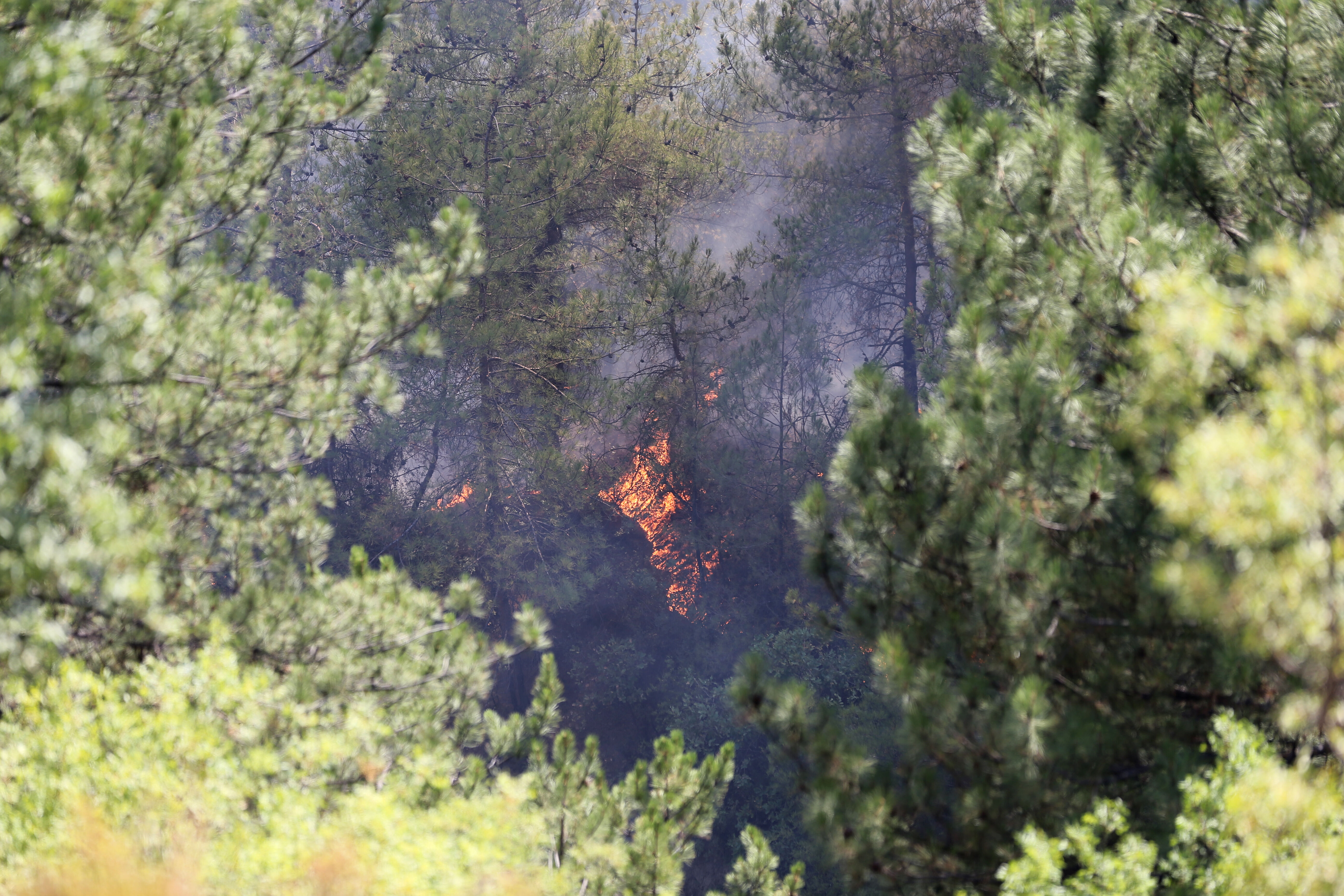 Karabük'te orman yangını! Alevler kent merkezine yaklaşıyor Karabük'te orman yangını! Alevler kent merkezine yaklaşıyor - 3. Resim