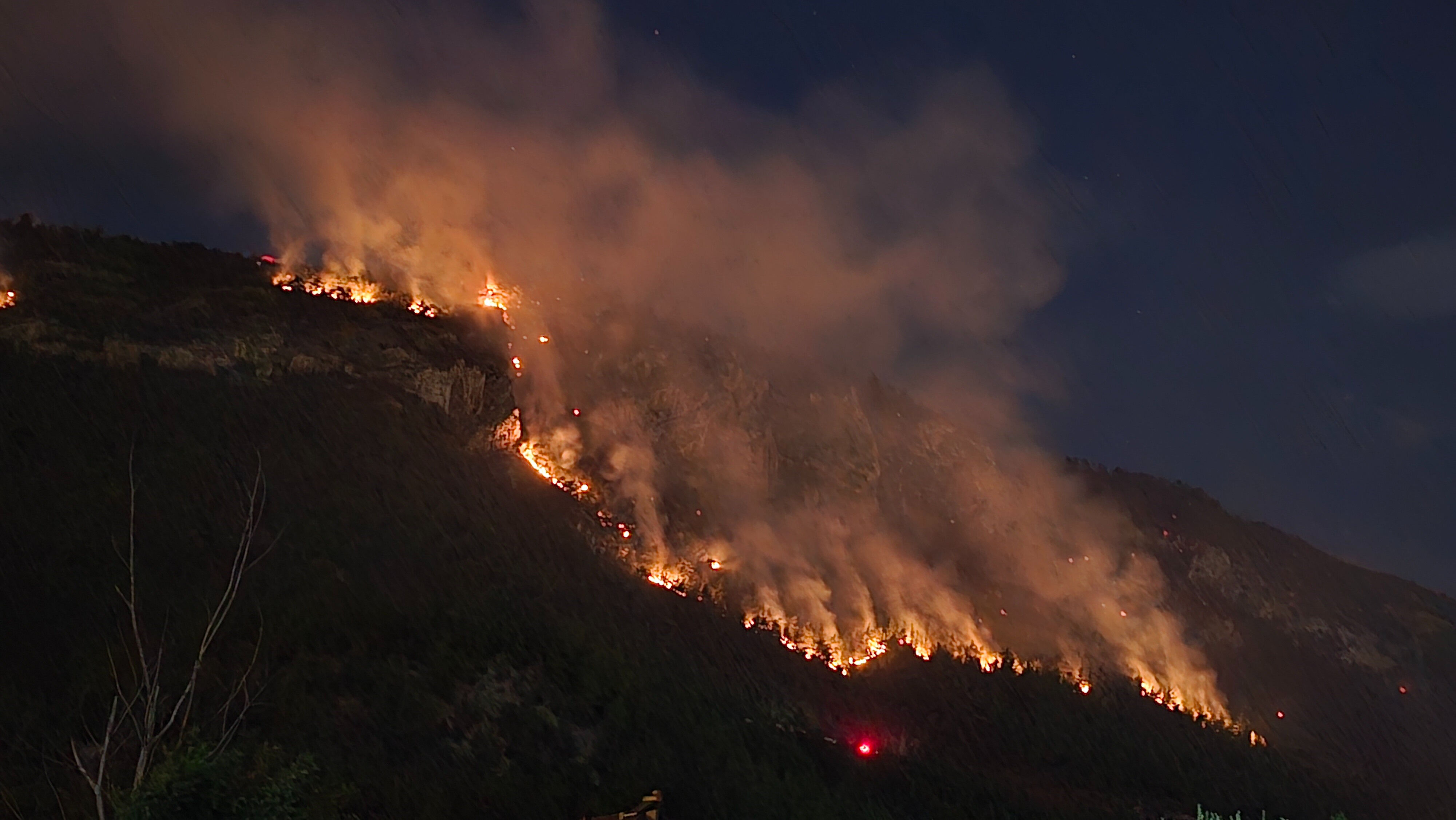 Karabük'te orman yangını! Alevler kent merkezine yaklaşıyor Karabük'te orman yangını! Alevler kent merkezine yaklaşıyor - 4. Resim