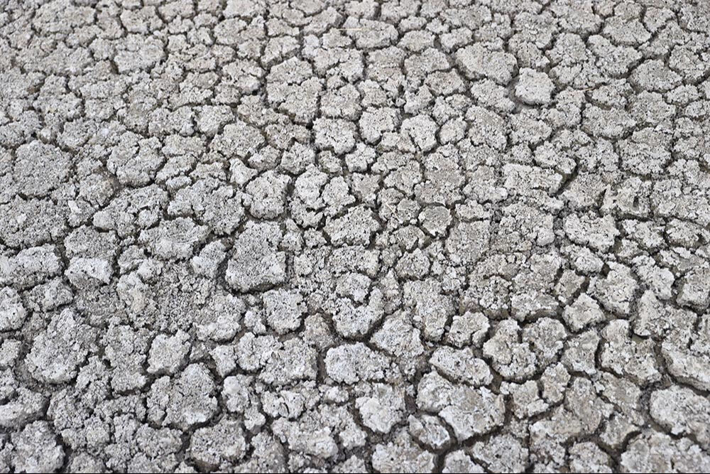 Kırklareli ürküten görüntü! Kuşlar ava çıktı... Kırklareli ürküten görüntü! Kuşlar ava çıktı... - 4. Resim