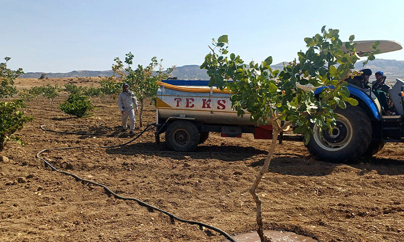 Kuraklık vurdu, hasada 1 ay kaldı! Yüzde 100 verim için çareyi böyle buldular Kuraklık vurdu, hasada 1 ay kaldı! Yüzde 100 verim için çareyi böyle buldular - 5. Resim