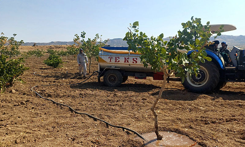 Kuraklık vurdu, hasada 1 ay kaldı! Yüzde 100 verim için çareyi böyle buldular Kuraklık vurdu, hasada 1 ay kaldı! Yüzde 100 verim için çareyi böyle buldular - 1. Resim