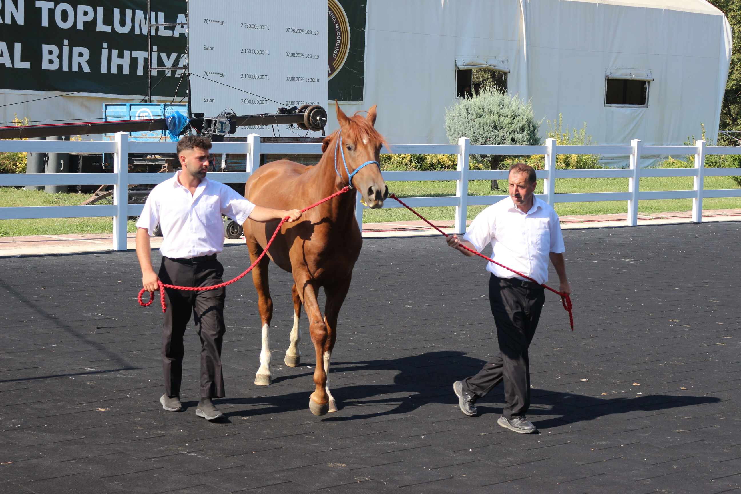 Lüks otomobil fiyatına tay! İhalede dudak uçuklatan rakamlar Lüks otomobil fiyatına tay! İhalede dudak uçuklatan rakamlar - 2. Resim