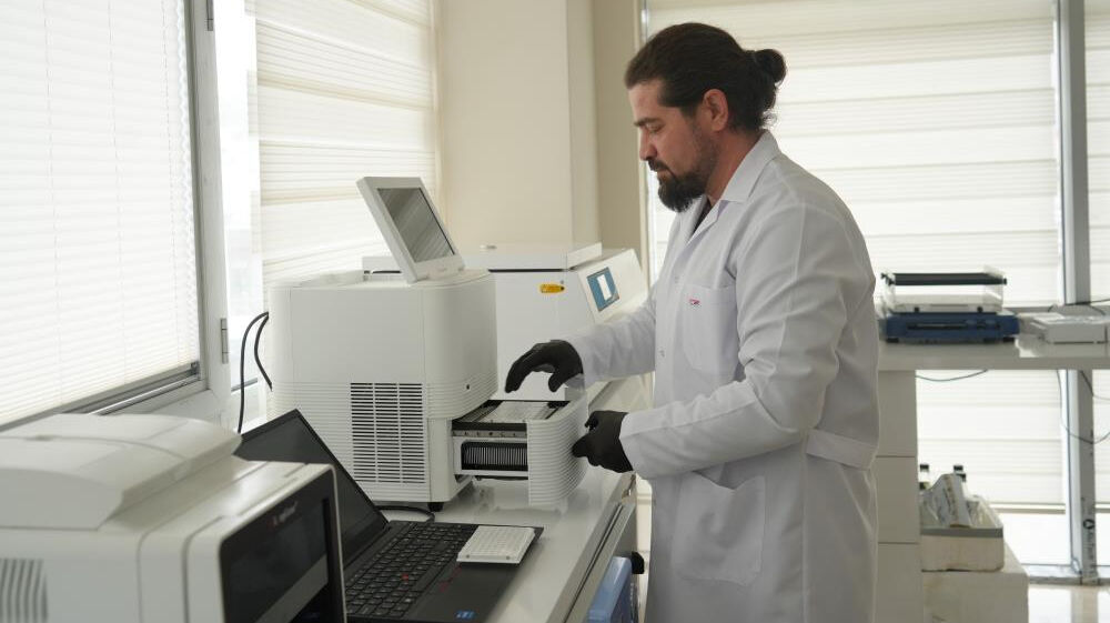 Norveç'in yapamadığını Türk akademisyenler yaptı! İhracat lideri olduğumuz alanda kayıplar sıfıra inecek Norveç'in yapamadığını Türk akademisyenler yaptı! İhracat lideri olduğumuz alanda kayıplar sıfıra inecek - 1. Resim