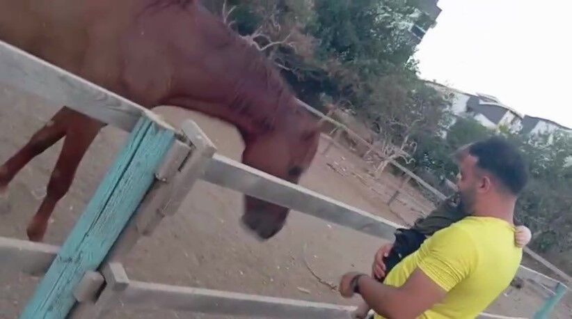 Atın hamlesi dehşet saçtı! Küçük çocuğu ısırarak alıp havaya fırlattı Atın hamlesi dehşet saçtı! Küçük çocuğu ısırarak alıp havaya fırlattı - 1. Resim