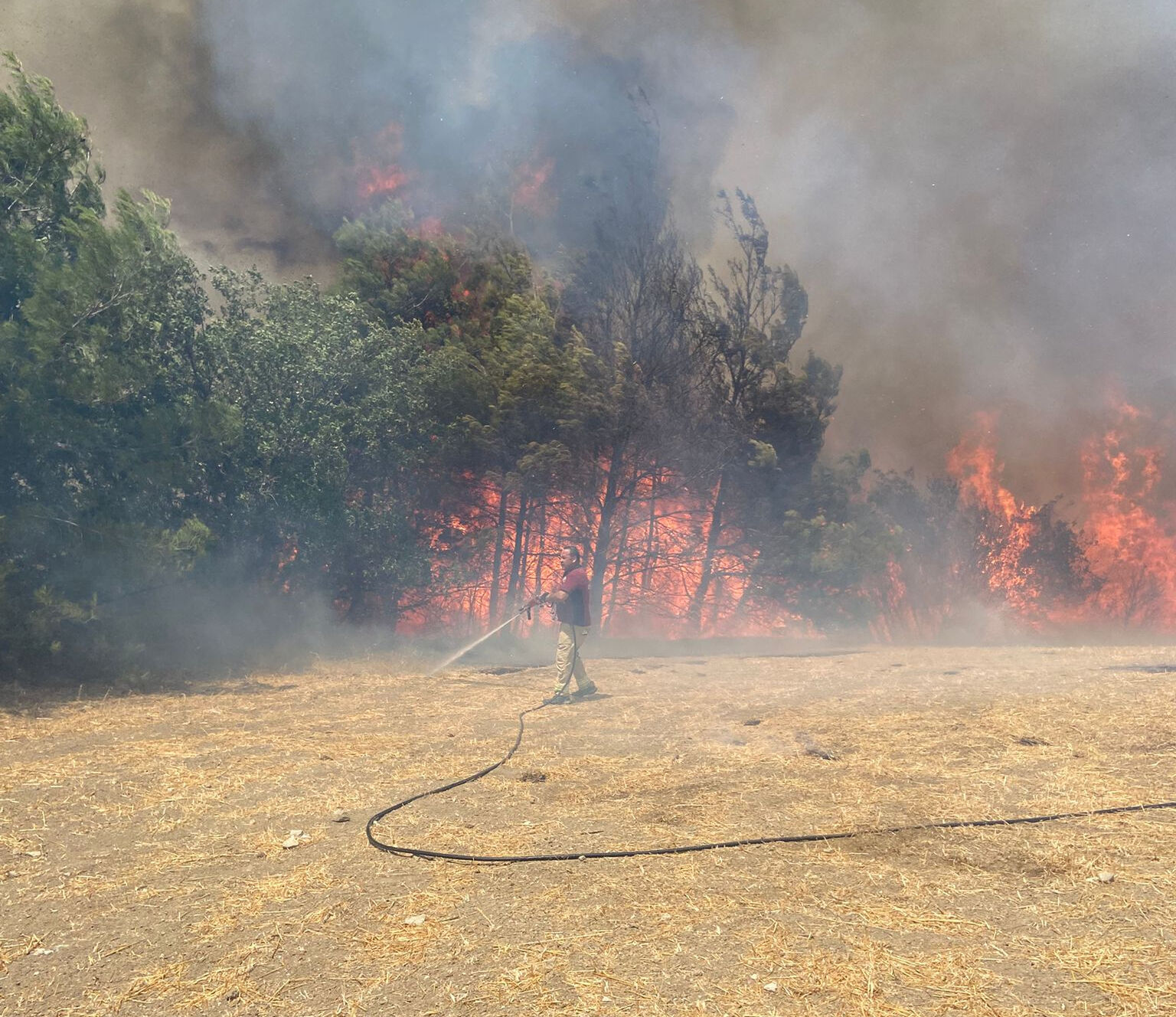 Çanakkale'de yangın nerede çıktı? Çanakkale yangını son durum - 1. Resim