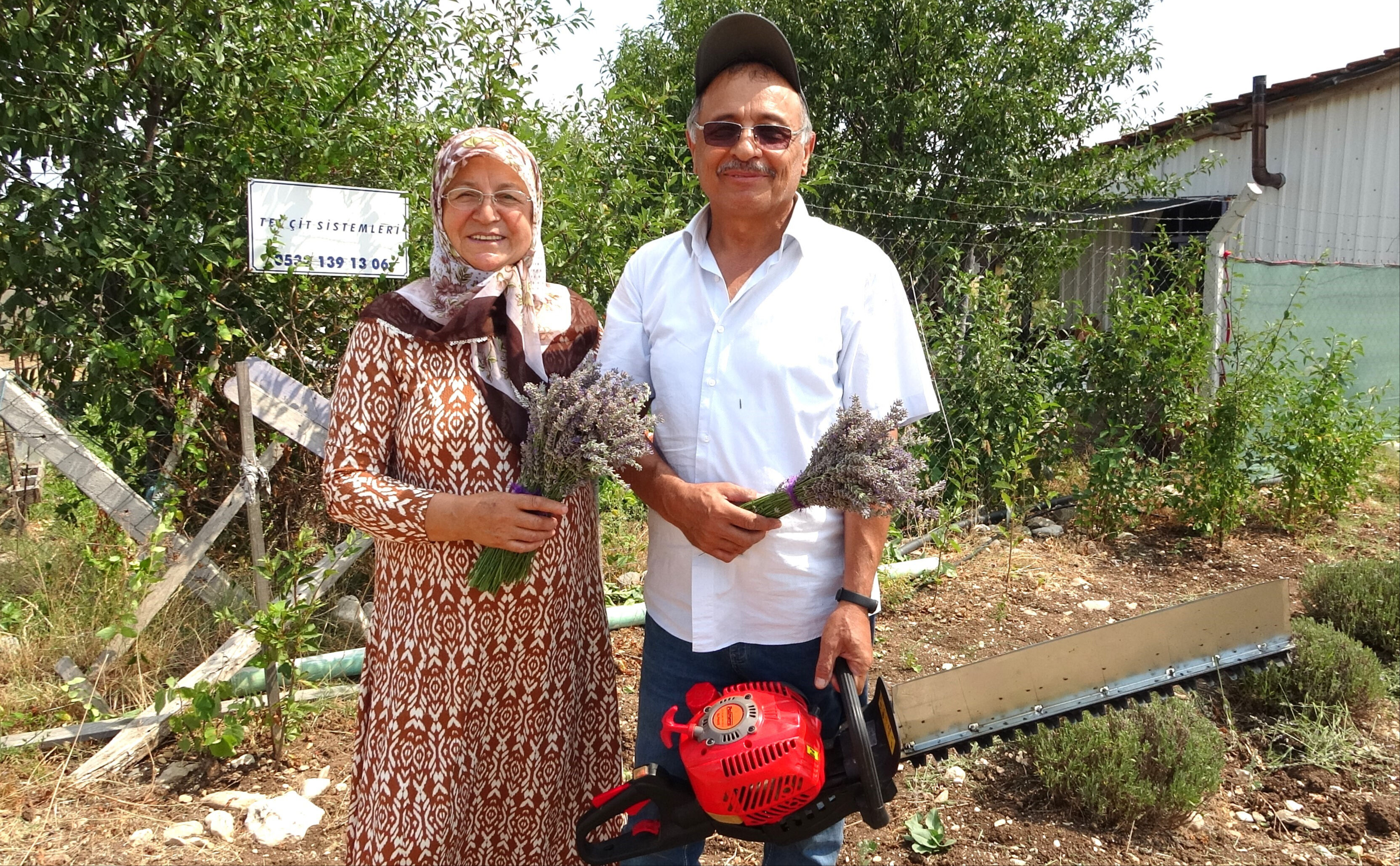 Mis kokulu hasat başladı! 10 yıl önce hobi için dikti şimdi para kazanıyor Mis kokulu hasat başladı! 10 yıl önce hobi için dikti şimdi para kazanıyor - 1. Resim