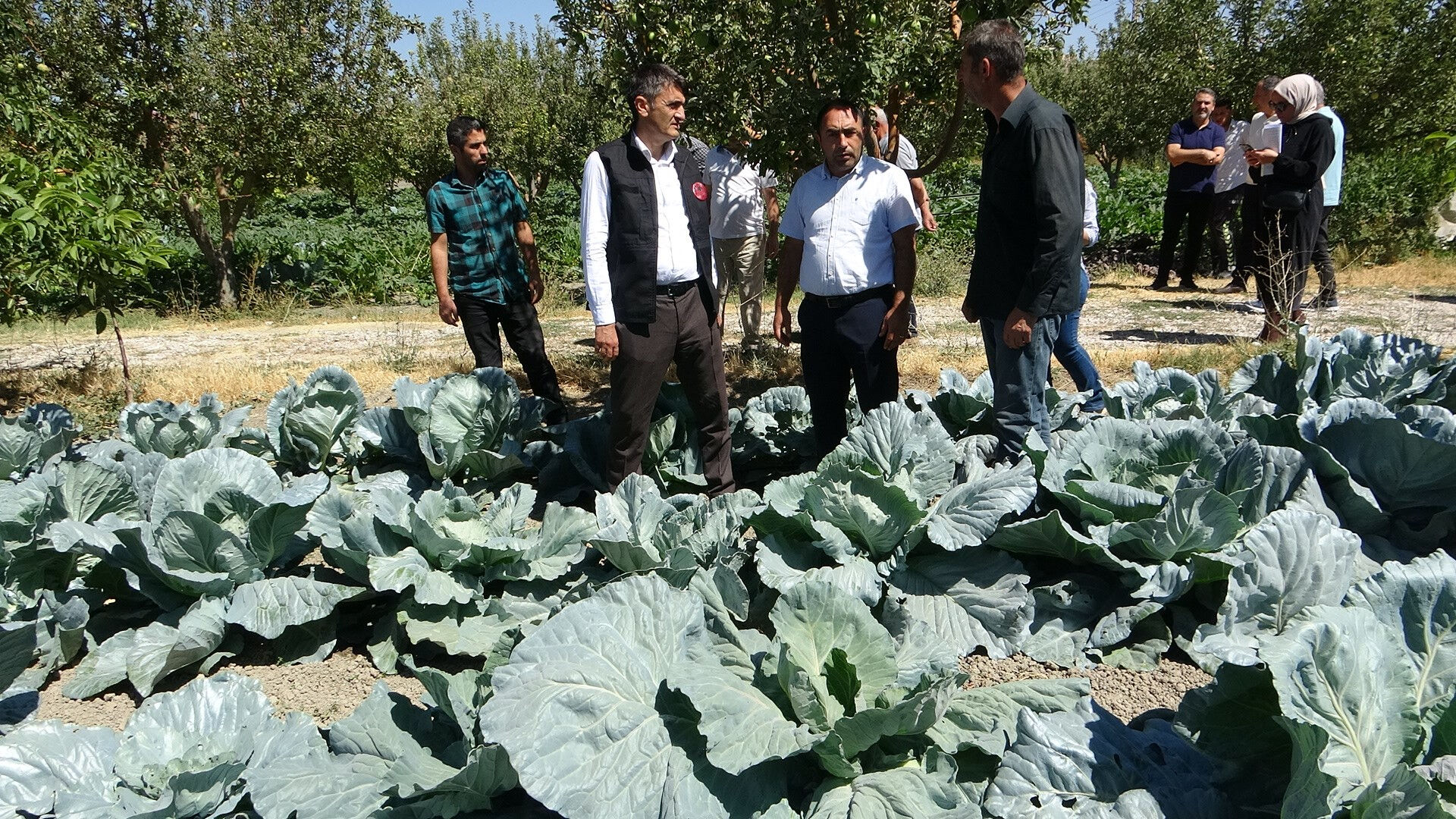 Tarlasına kurduğu sistemle 1 günlük işi 2 saatte yapıyor! Hem işçilikten hem de verimden kazandı - 1. Resim