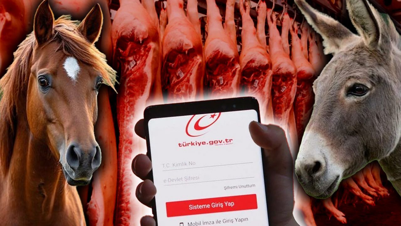 At, eşek ve domuz eti satanlar artık e-Devlet'te! Bu listeye bakmadan dışarıda yemek yemeyin - Ekonomi
