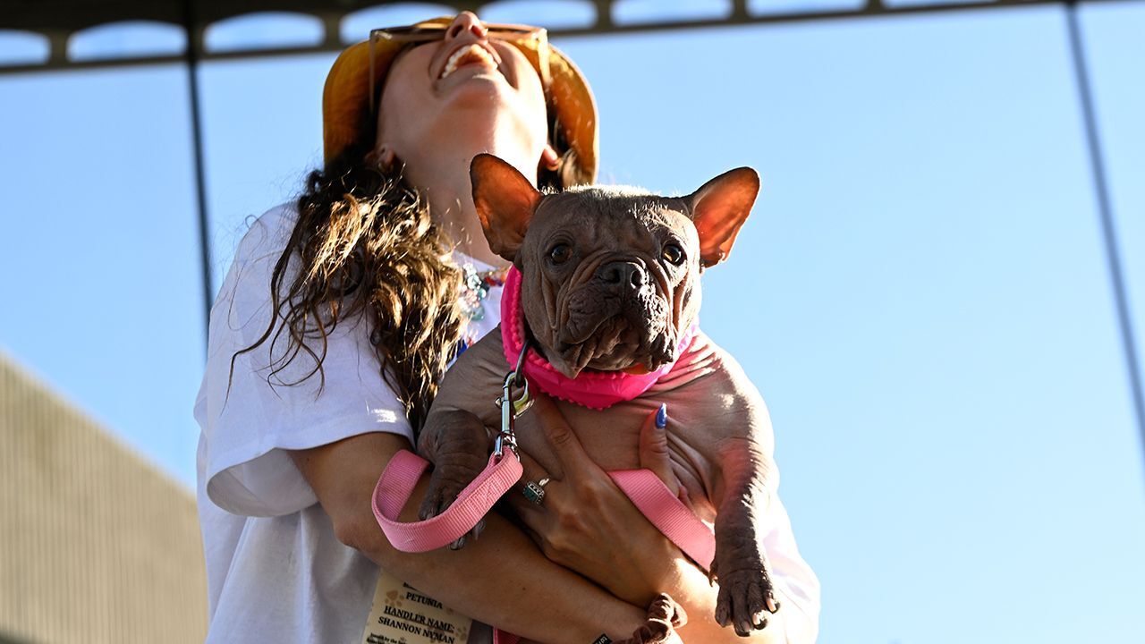2025 yılı "Dünyanın En Çirkin Köpeği" belli oldu! İşte sahibine kazandırdığı ödül 2025 yılı "Dünyanın En Çirkin Köpeği" belli oldu! İşte sahibine kazandırdığı ödül
