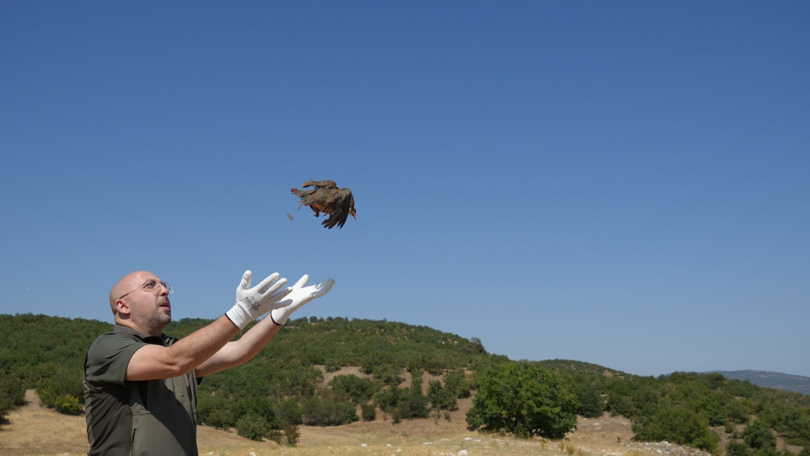 Art arda ölümler yaşanmıştı! 1 milyona yakın keklik doğaya salındı Art arda ölümler yaşanmıştı! 1 milyona yakın keklik doğaya salındı - 2. Resim