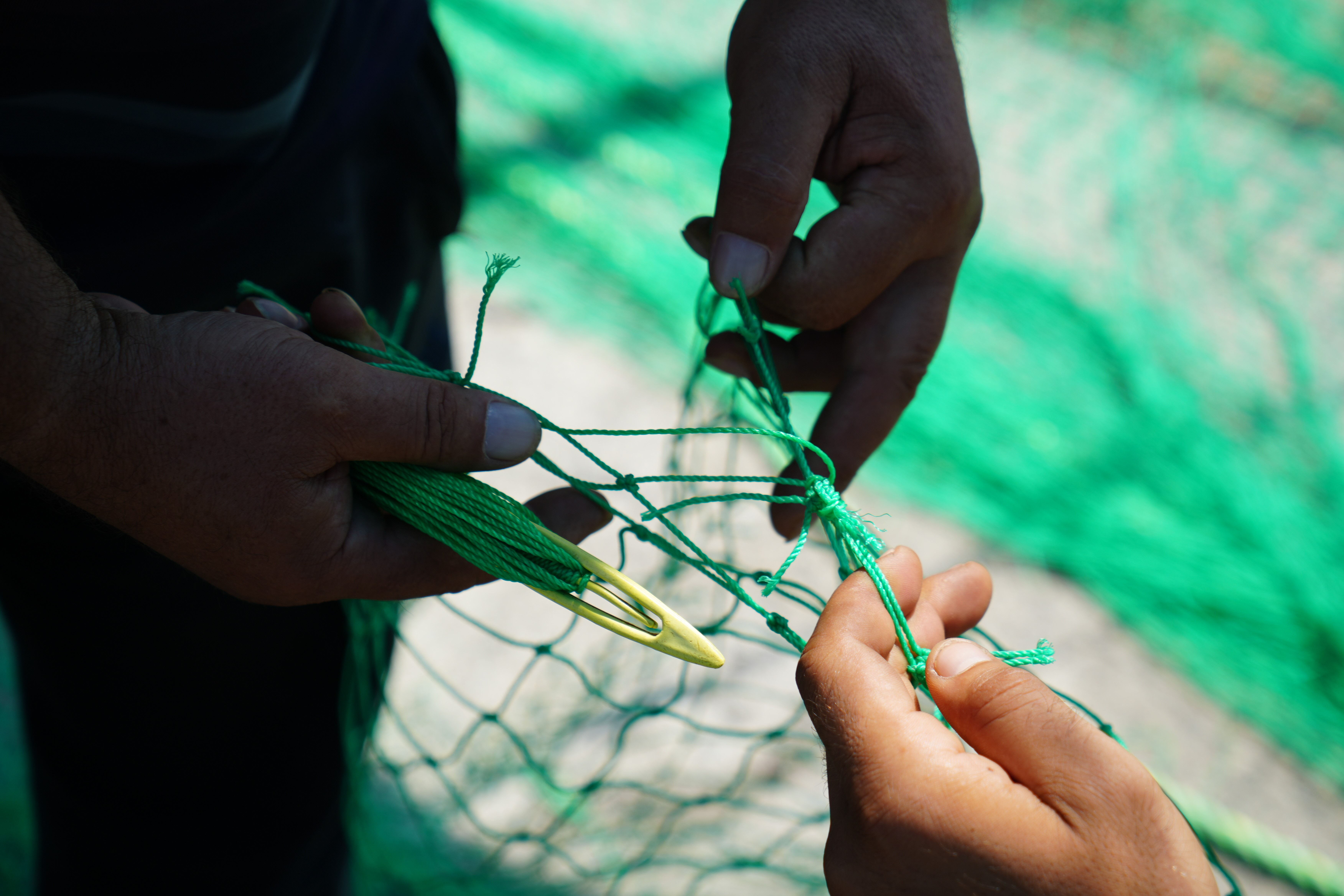 Balıkçılar "Vira Bismillah" demeye hazırlanıyor! İşte bu sezon bolluk yaşanacak balıklar - 3. Resim
