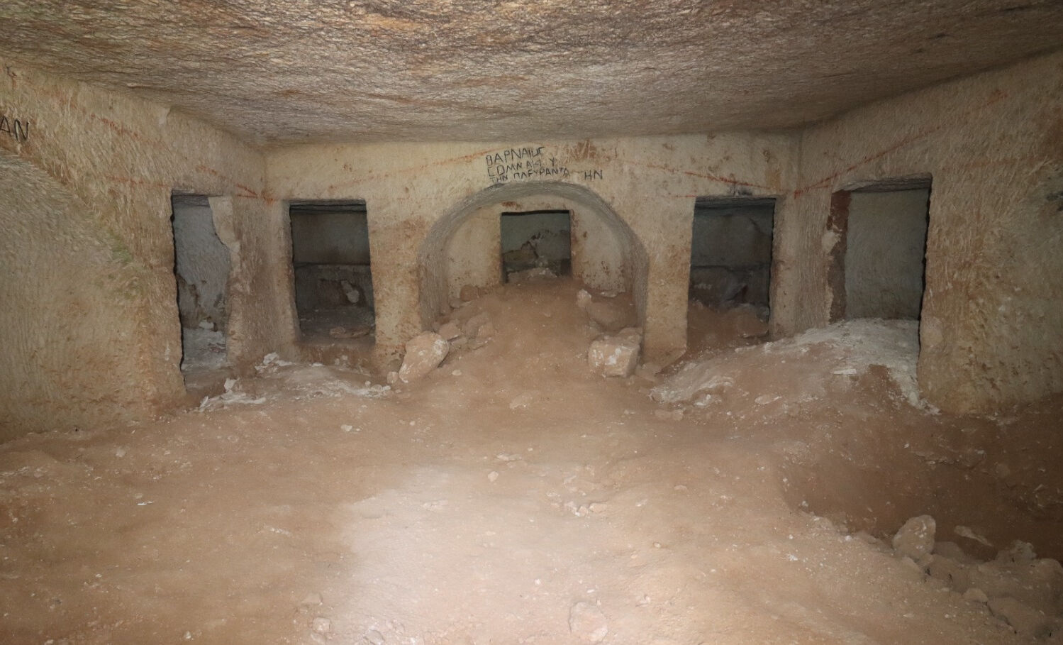 Kente yeni bir soluk getirecek! Yeni keşfedildi, hemen envantere kaydettiler - 1. Resim