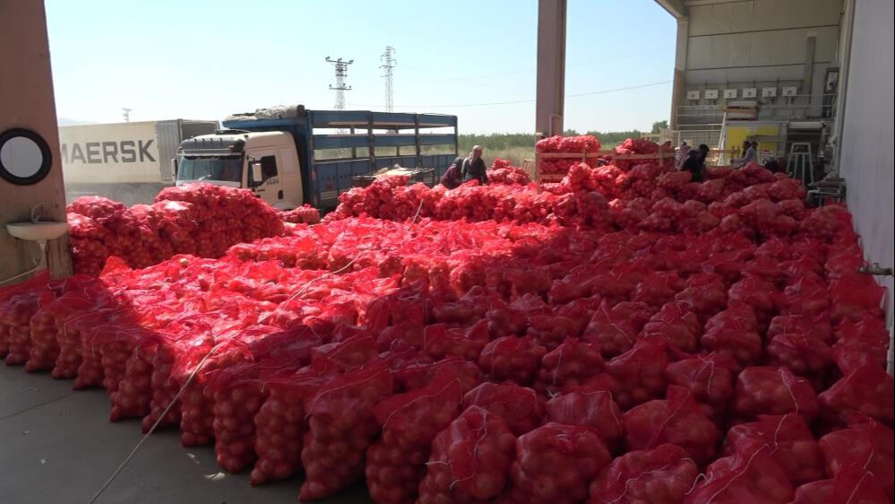 Kilosu 5 lira! İspanya ve Almanya da onun için bekliyor... - 2. Resim