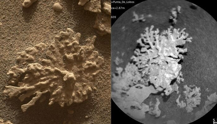 Mars’ta milyarlarca  yıllık sır açığa çıktı! "Hayatın izleri var" - 2. Resim