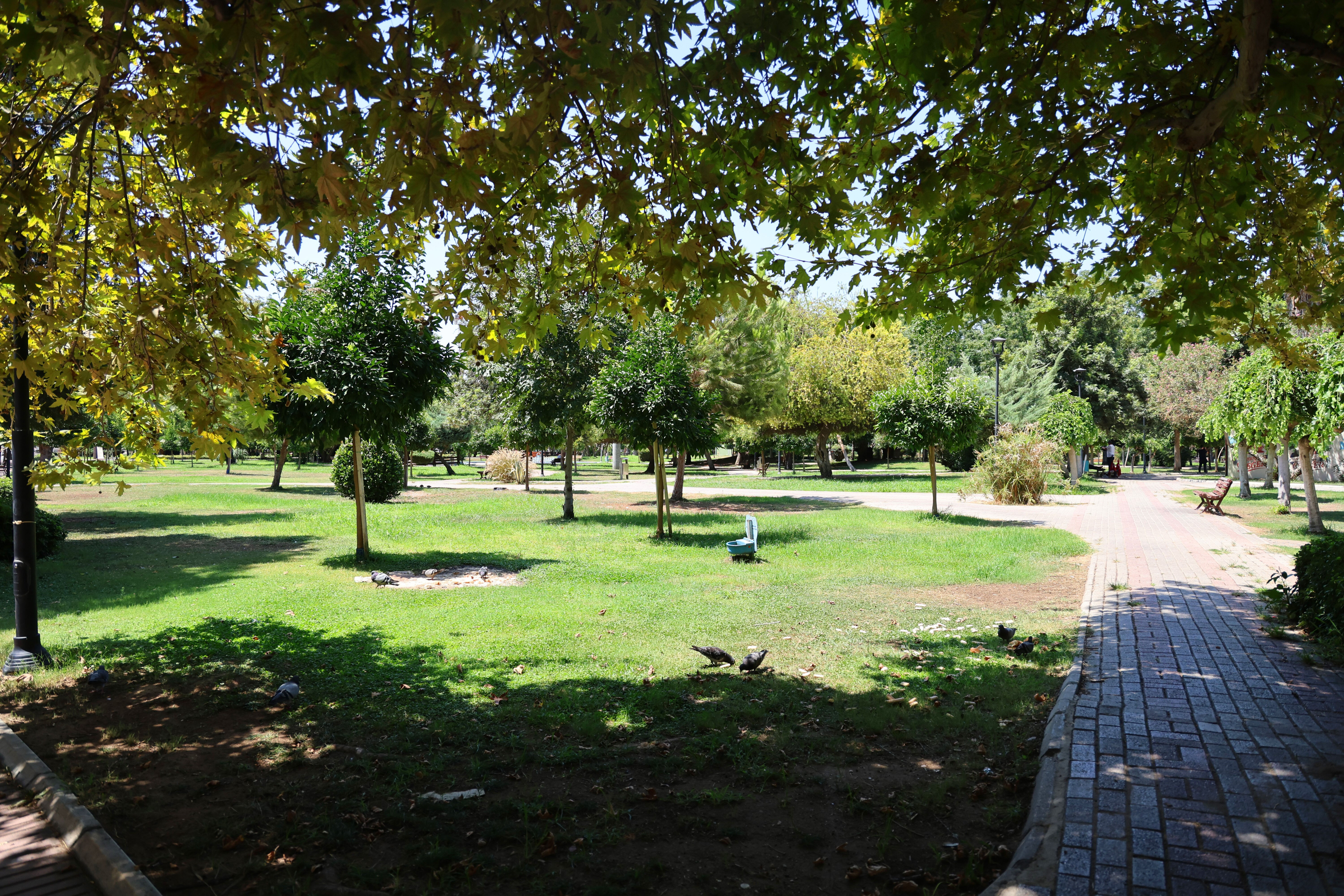 Sıcaklık 55 dereciyi aştı! Bir kentimizde hayat felç oldu Sıcaklık 55 dereciyi aştı! Bir kentimizde hayat felç oldu - 1. Resim