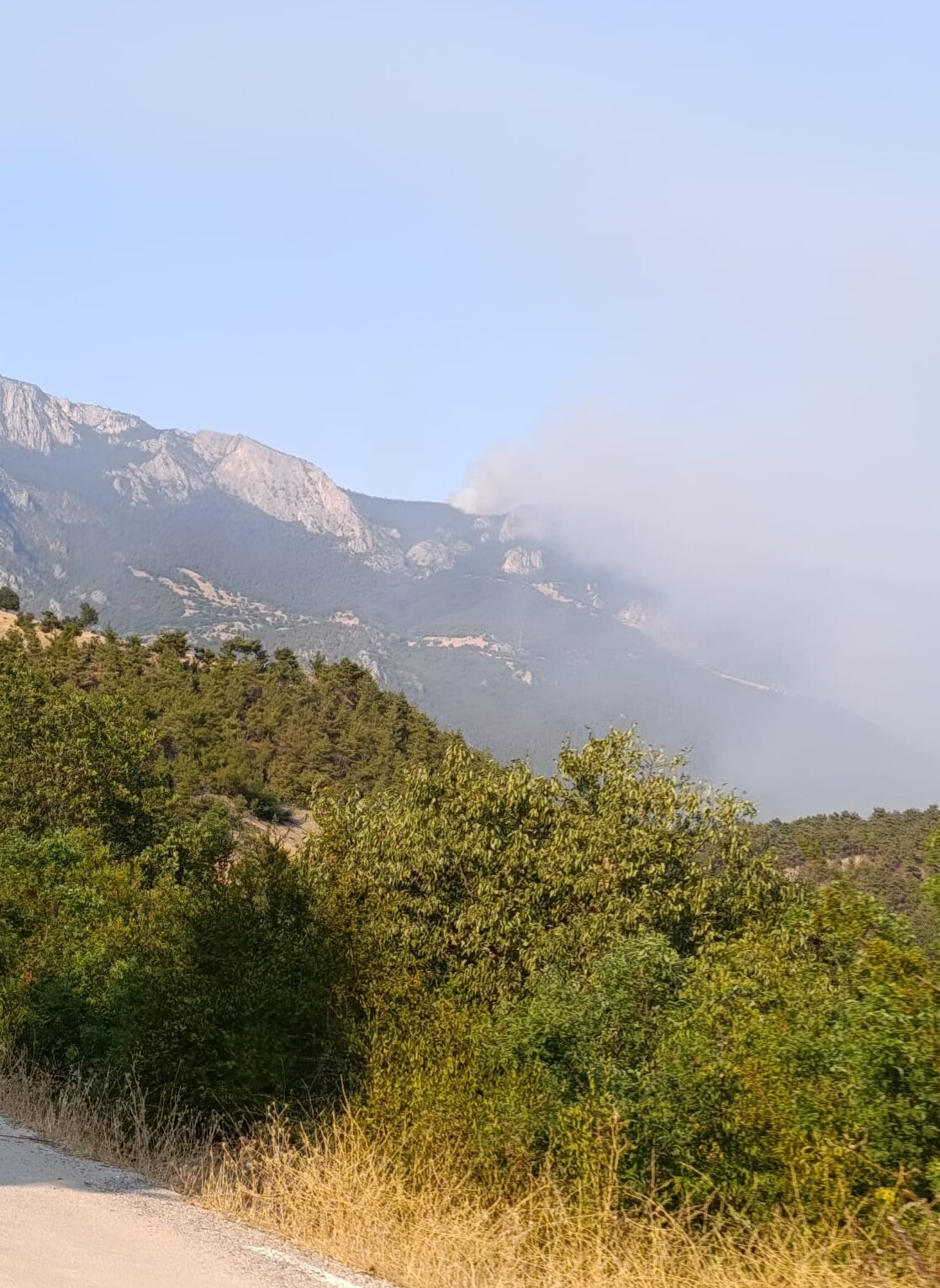 Sinop'ta orman yangını! Ekipler seferber oldu Sinop'ta orman yangını! Ekipler seferber oldu - 1. Resim