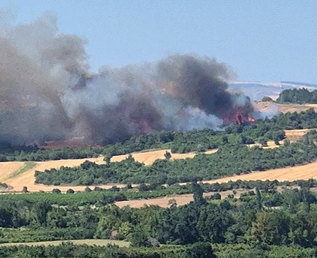 Çanakkale'de korkutan yangın! Kısa sürede ormanlık alana sıçradı Çanakkale'de korkutan yangın! Kısa sürede ormanlık alana sıçradı - 1. Resim