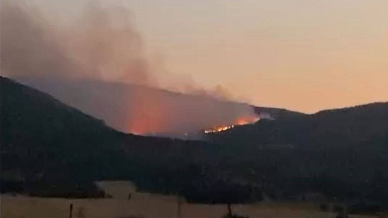 Diyarbakır’da ağaçlık alanda korkutan yangın! Alevlerin yaklaştığı ev tahliye edildi Diyarbakır’da ağaçlık alanda korkutan yangın! Alevlerin yaklaştığı ev tahliye edildi