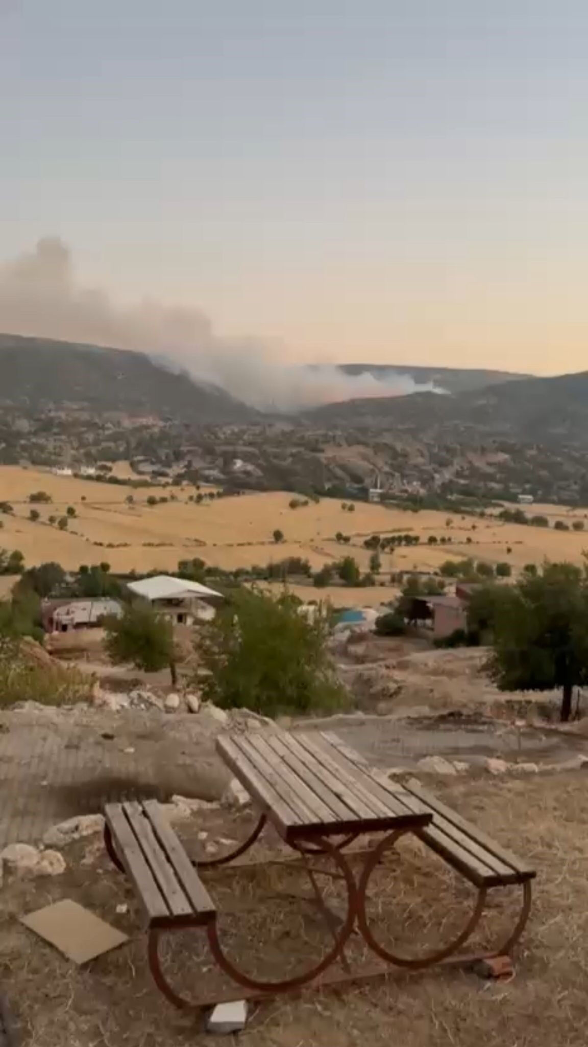 Diyarbakır’da ağaçlık alanda korkutan yangın! Alevlerin yaklaştığı ev tahliye edildi Diyarbakır’da ağaçlık alanda korkutan yangın! Alevlerin yaklaştığı ev tahliye edildi - 2. Resim