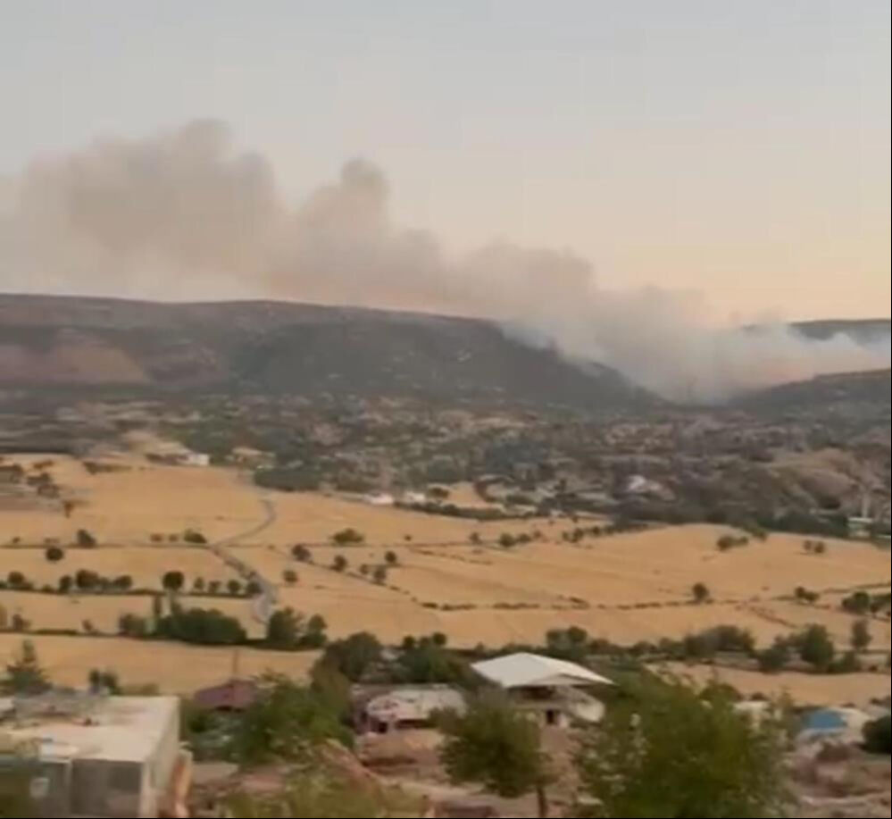 Diyarbakır'dan sevindiren haber! Ormanlık alanda çıkan yangın söndürüldü - 1. Resim