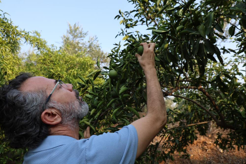 Korkutan gelişme! Kuraklık o ürünleri de tehdit ediyor: "Bu boyutta bir kriz yaşanmamıştı" - 3. Resim